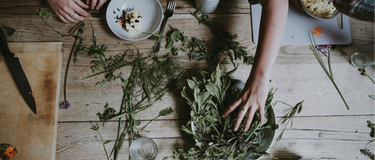 Kruidenwerking voor beginners: hoe kruidengeneeskundigen de genezende kracht van planten beschrijven