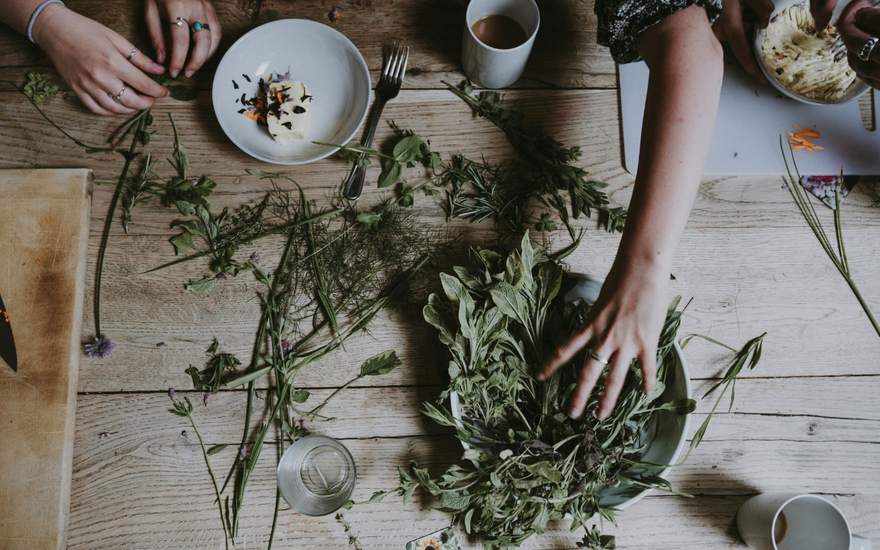 Kruidenwerking voor beginners: hoe kruidengeneeskundigen de genezende kracht van planten beschrijven
