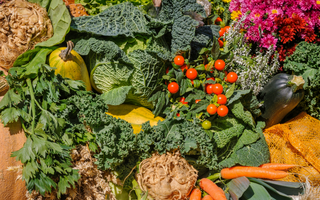 De gezondheidsvoordelen van kleurrijk eten