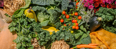 De gezondheidsvoordelen van kleurrijk eten