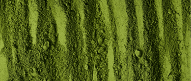 Chlorella: de zeer voedzame alg uit het zoetwater van onze aarde