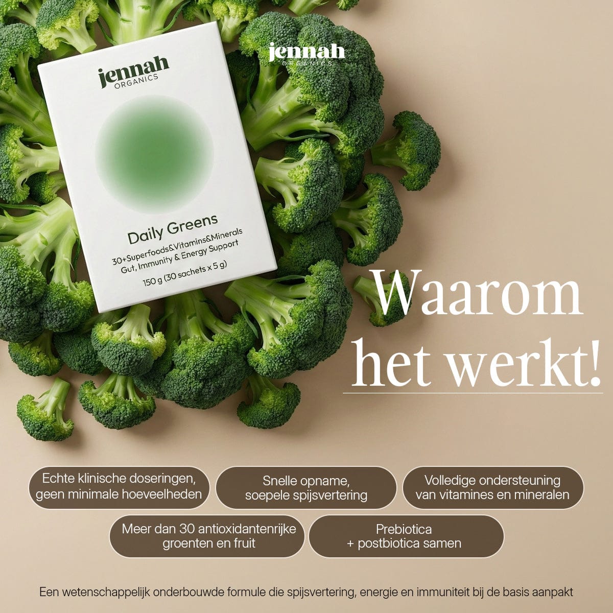 Daily Greens – Plantaardig Supergreens Poeder (30 sticks)